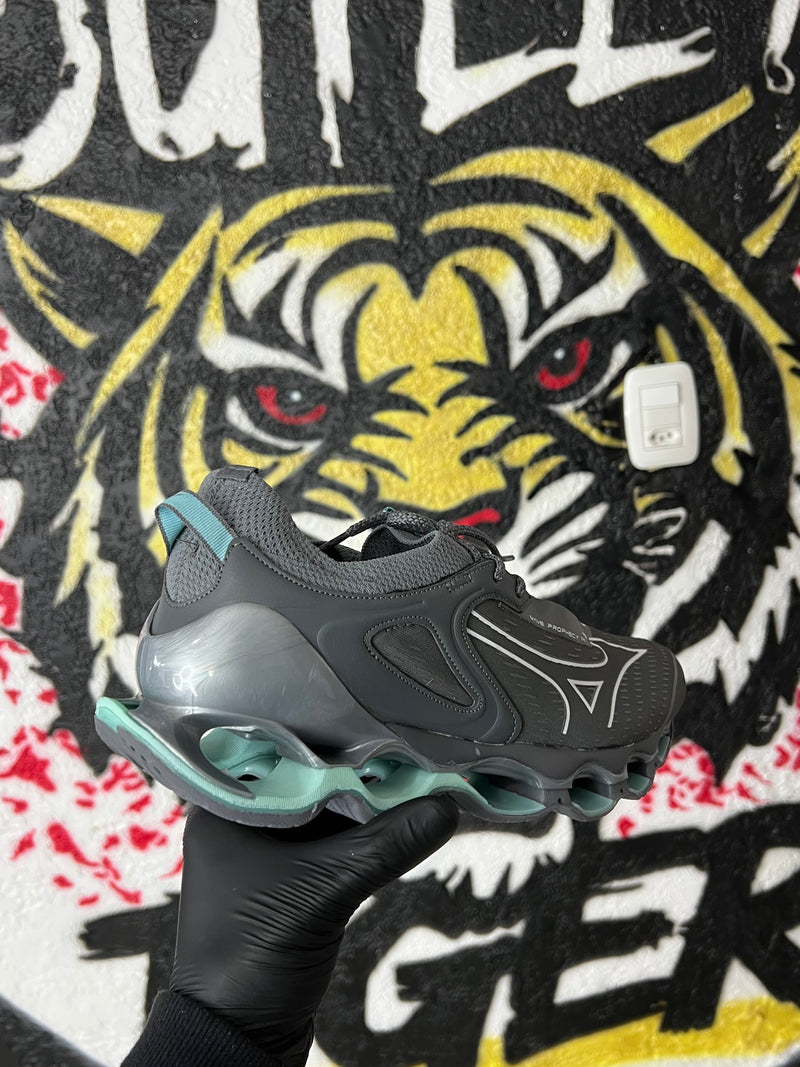 Mizuno Wave Prophecy 14